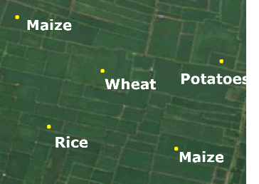 Reference data on crop types