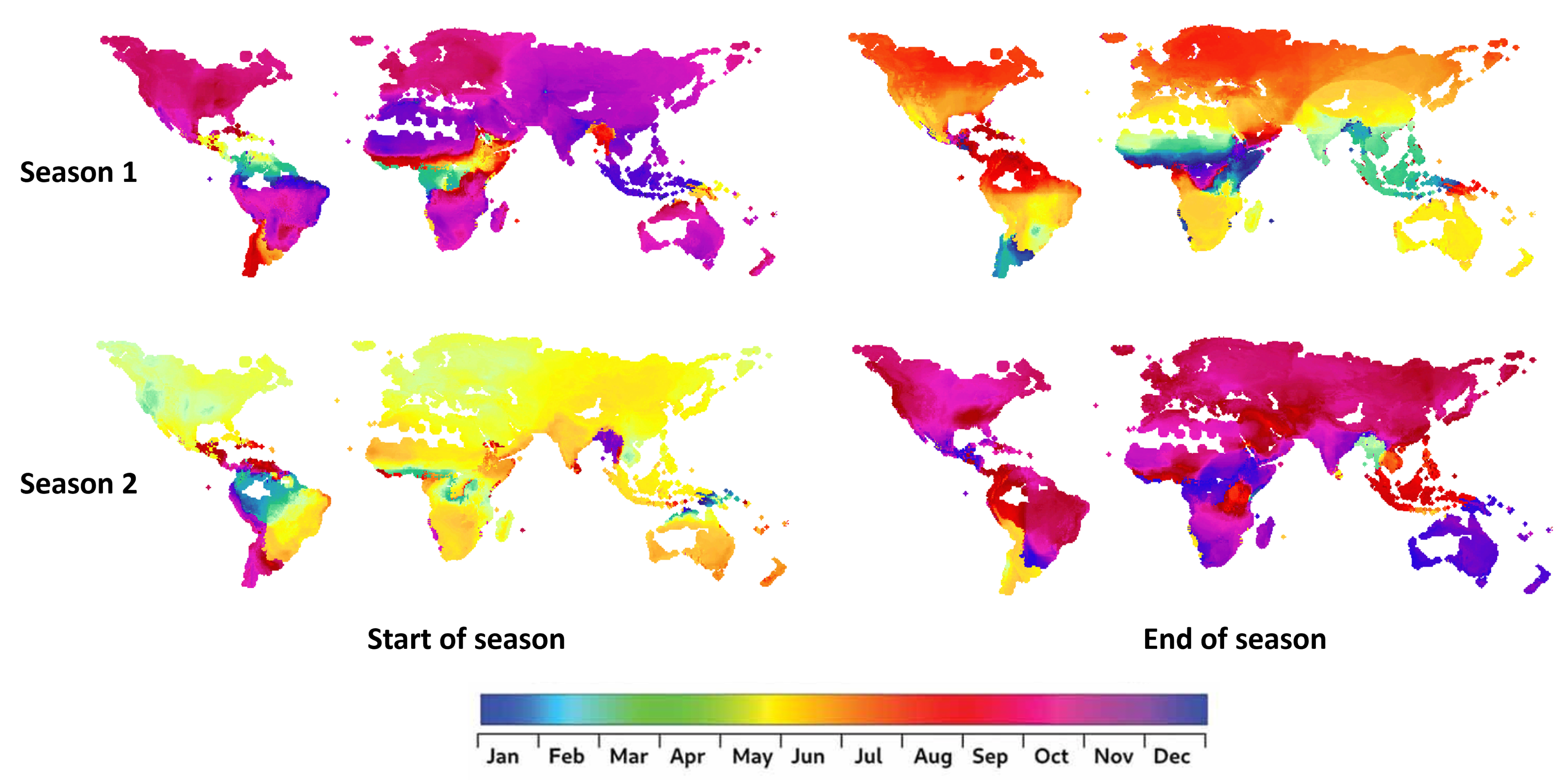 Figure 1: Preliminary version of generic WorldCereal crop calendars defining two major growing seasons at global scale.