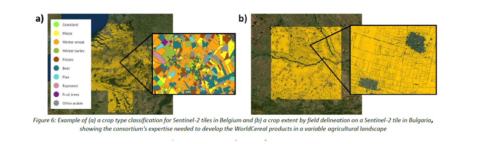 Example of a crop type classification