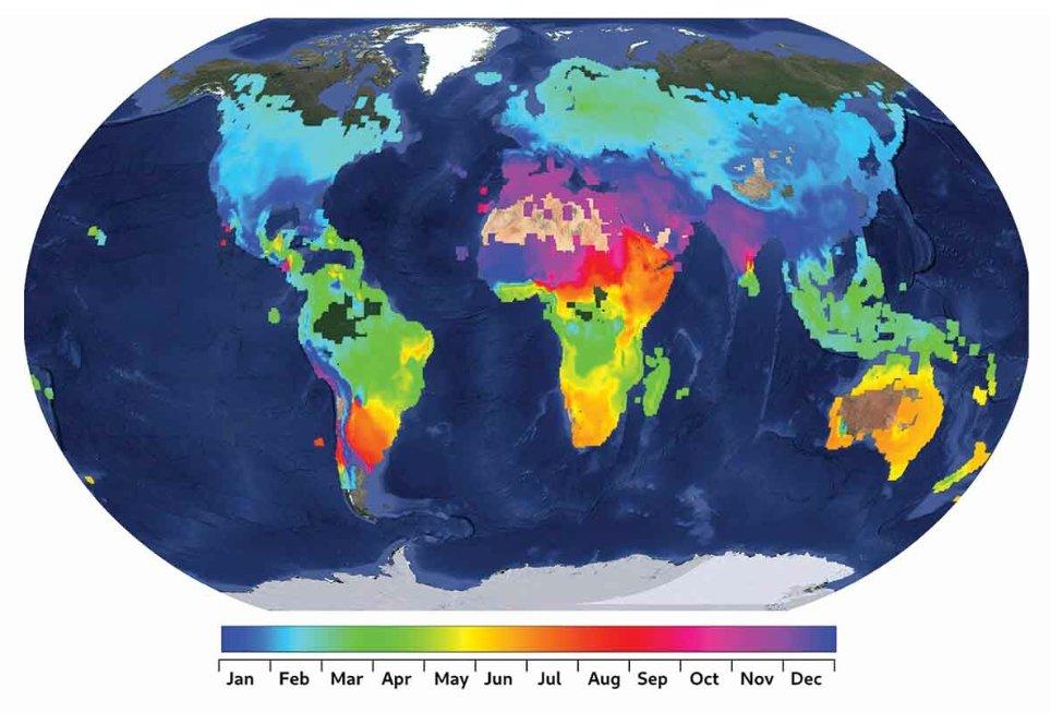 Wheat crop calendar maps over a base map from the Google Earth dataset